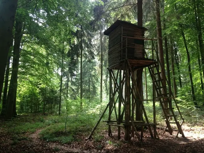 How to Soundproof a Deer Blind