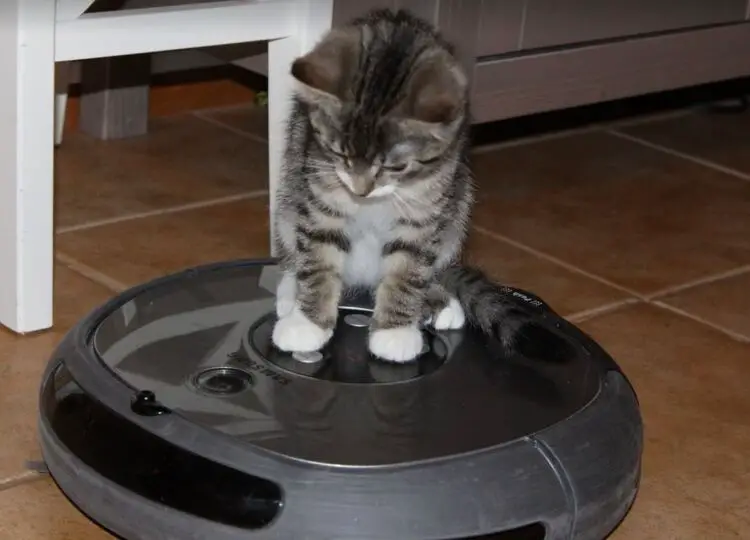 Quietest Robot Vacuum for Pet Hair: Tested in 2023