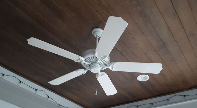 Ceiling Fan Clicking Noise: Common Reasons & Easy Fixes